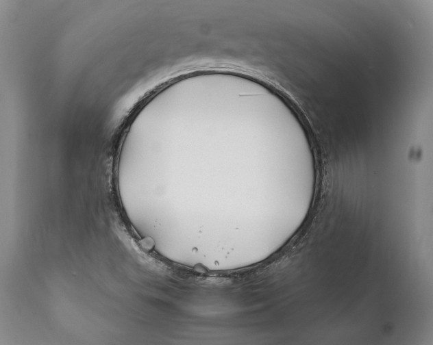 X0000112371503200909101309