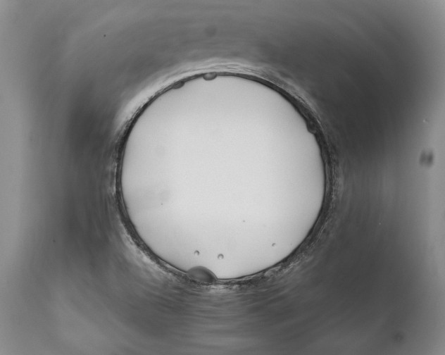 X0000112371504200909101309