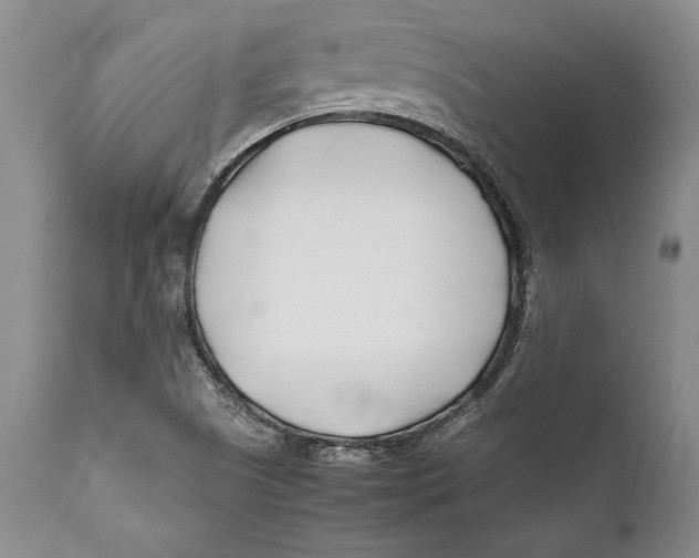 X0000112371505200909101309