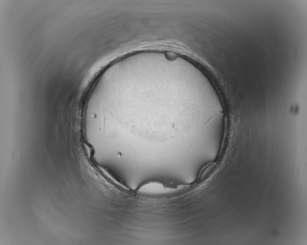 X0000112371506200909101309