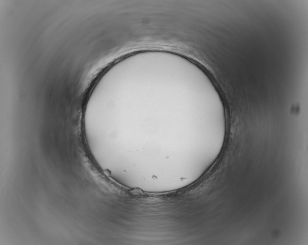 X0000112371507200909101309