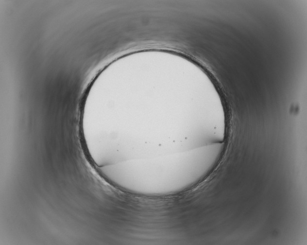 X0000112371508200909101309