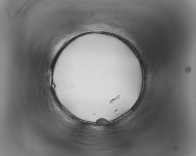 X0000112371509200909101309