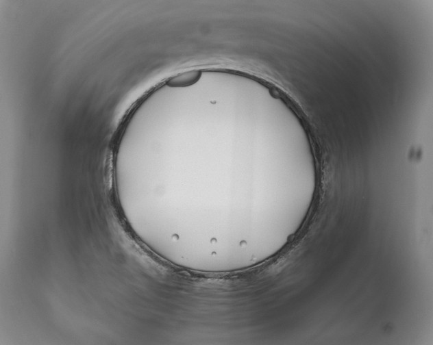 X0000112371510200909101309
