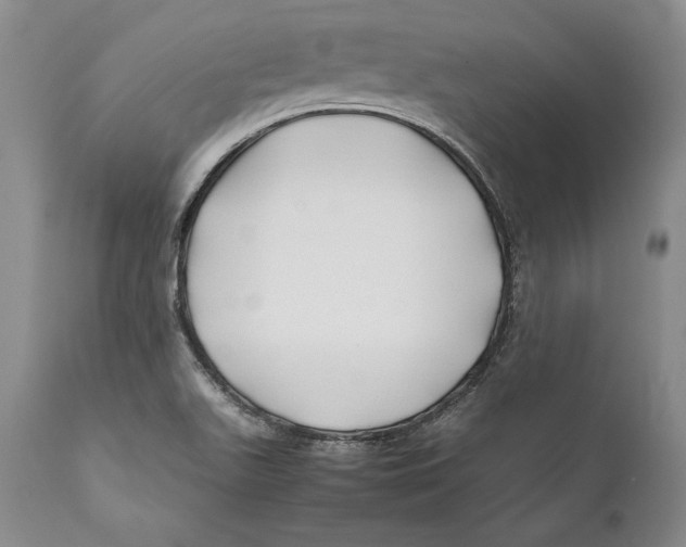 X0000112371511200909101309