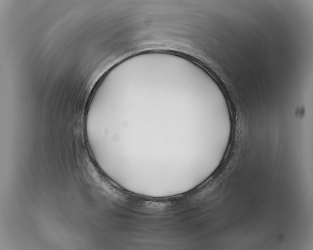 X0000112371513200909101309