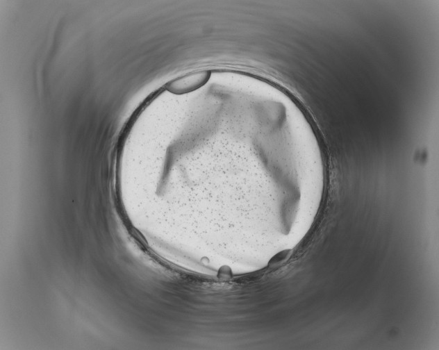 X0000112371515200909101309