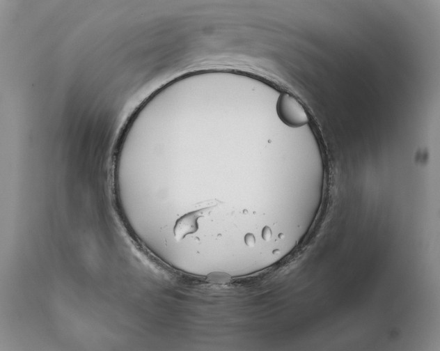 X0000112371517200909101309