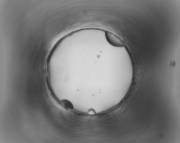 X0000112371519200909101309