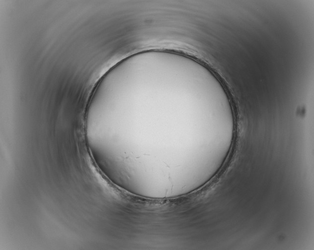 X0000112371521200909101309