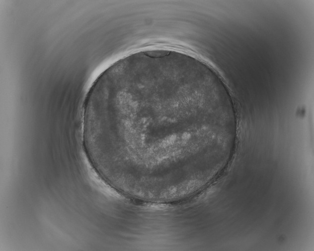 X0000112371522200909101309