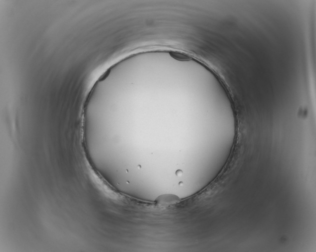 X0000112371524200909101309