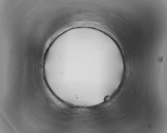 X0000112371525200909101309