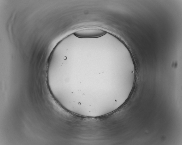 X0000112371526200909101309