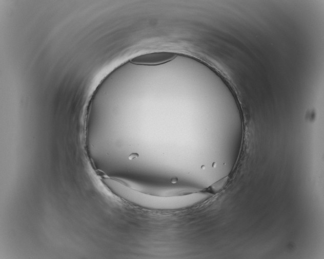 X0000112371528200909101309