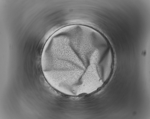 X0000112371529200909101309