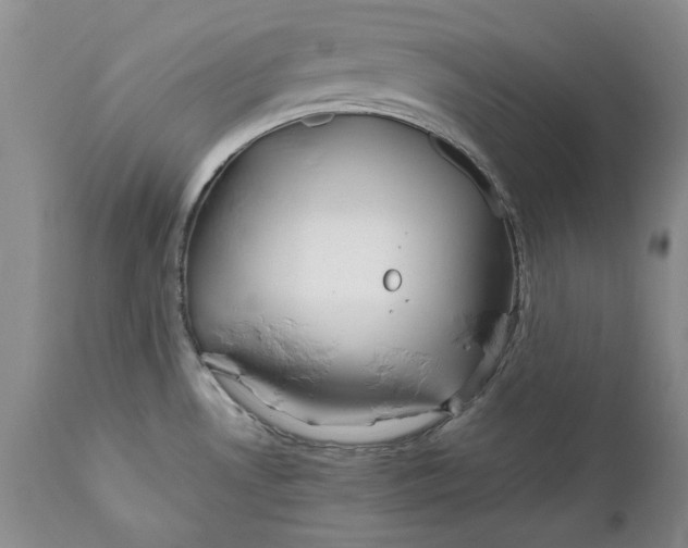 X0000112371530200909101309