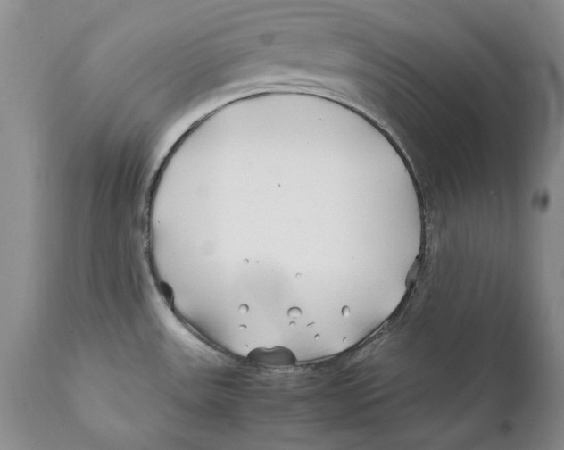 X0000112371531200909101309