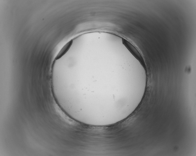 X0000112371532200909101309