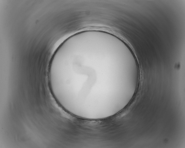 X0000112371533200909101309