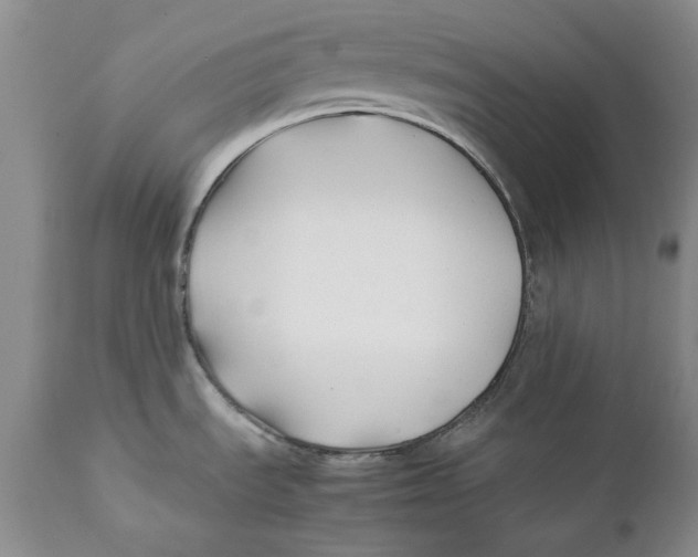 X0000112371535200909101309