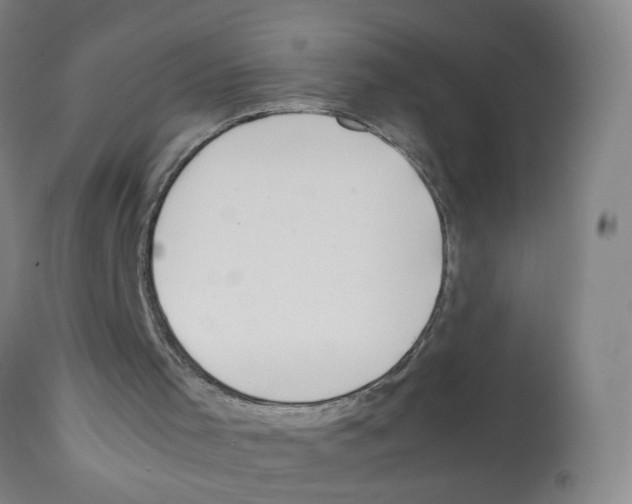 X0000112370001200909241201