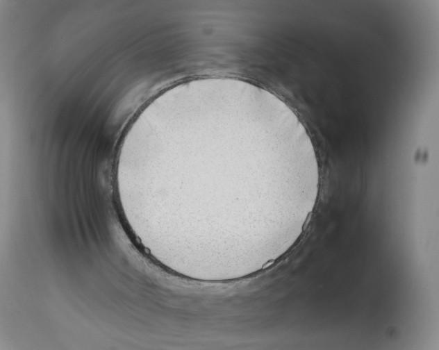 X0000112370002200909241201