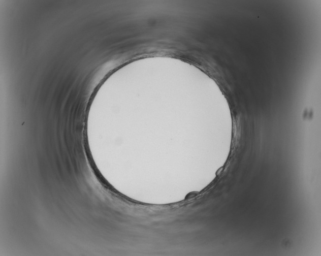 X0000112370003200909241201