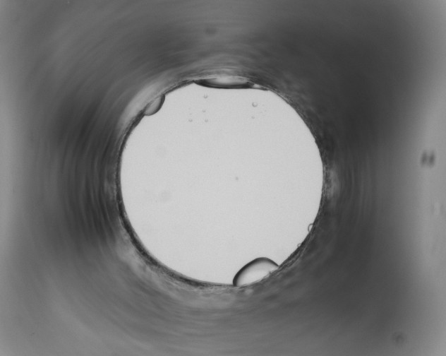 X0000112370004200909241201