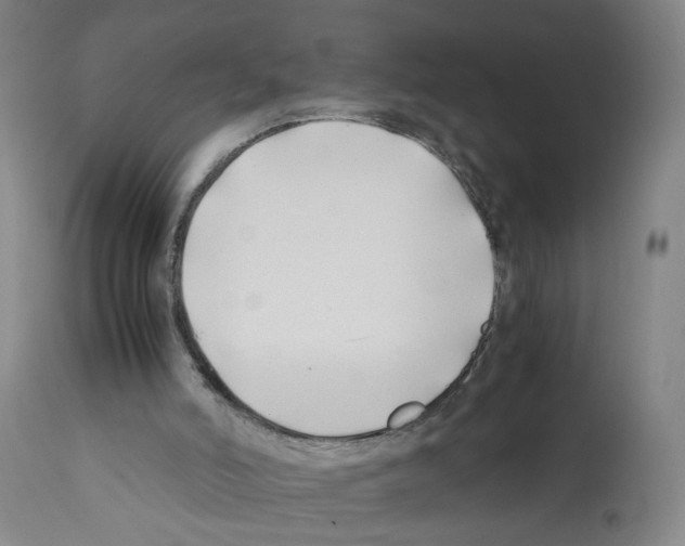 X0000112370006200909241201