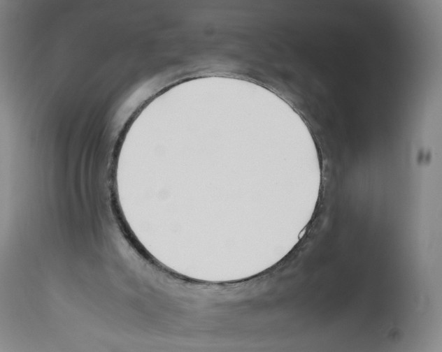 X0000112370007200909241201