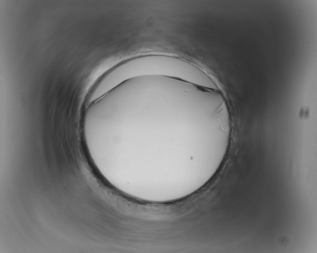 X0000112370008200909241201