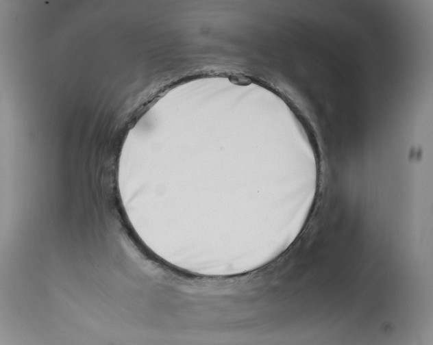 X0000112370009200909241201