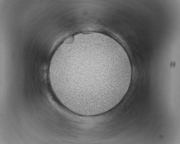 X0000112370010200909241201