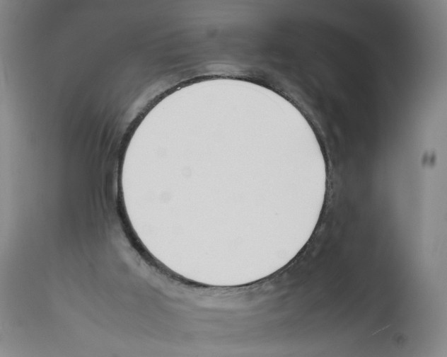 X0000112370011200909241201