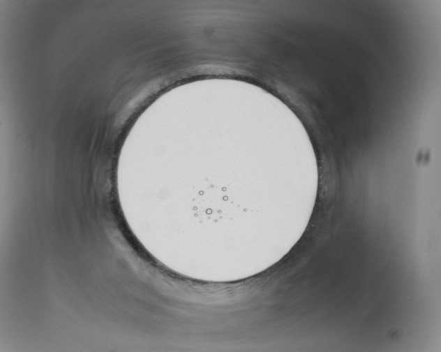 X0000112370015200909241201
