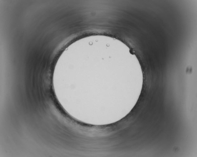 X0000112370016200909241201