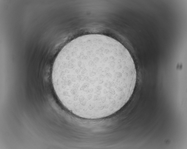 X0000112370018200909241201