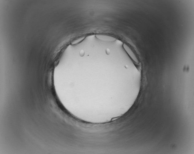 X0000112370019200909241201