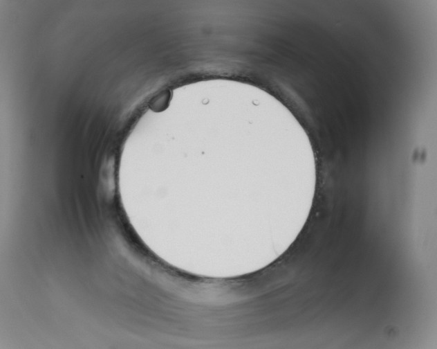 X0000112370020200909241201