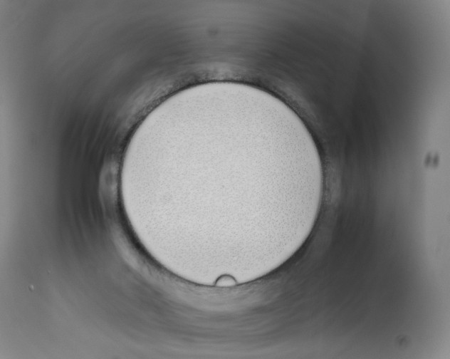 X0000112370022200909241201