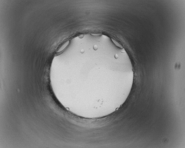 X0000112370023200909241201