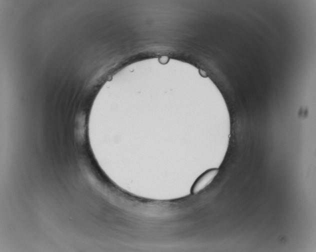 X0000112370024200909241201