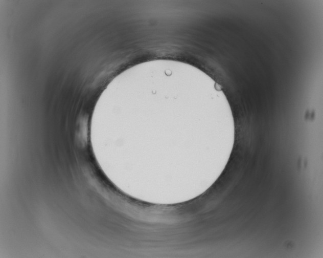 X0000112370028200909241201