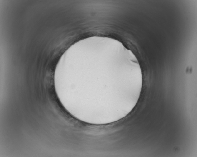X0000112370029200909241201
