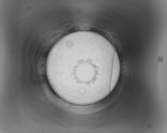 X0000112370030200909241201