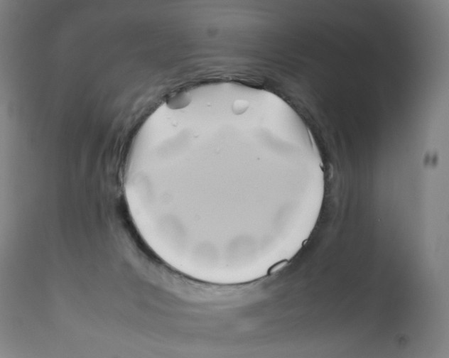 X0000112370031200909241201