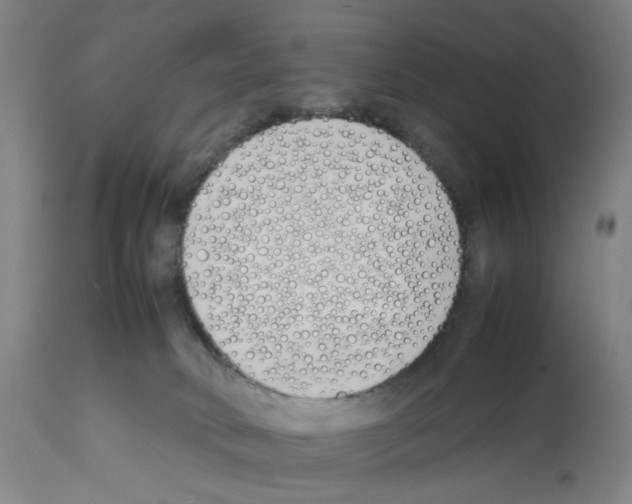 X0000112370034200909241201