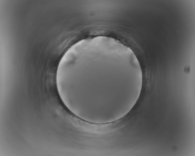 X0000112370035200909241201