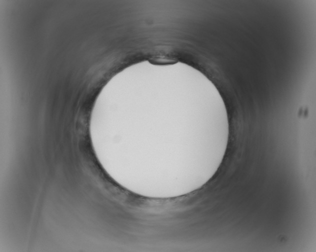 X0000112370037200909241201